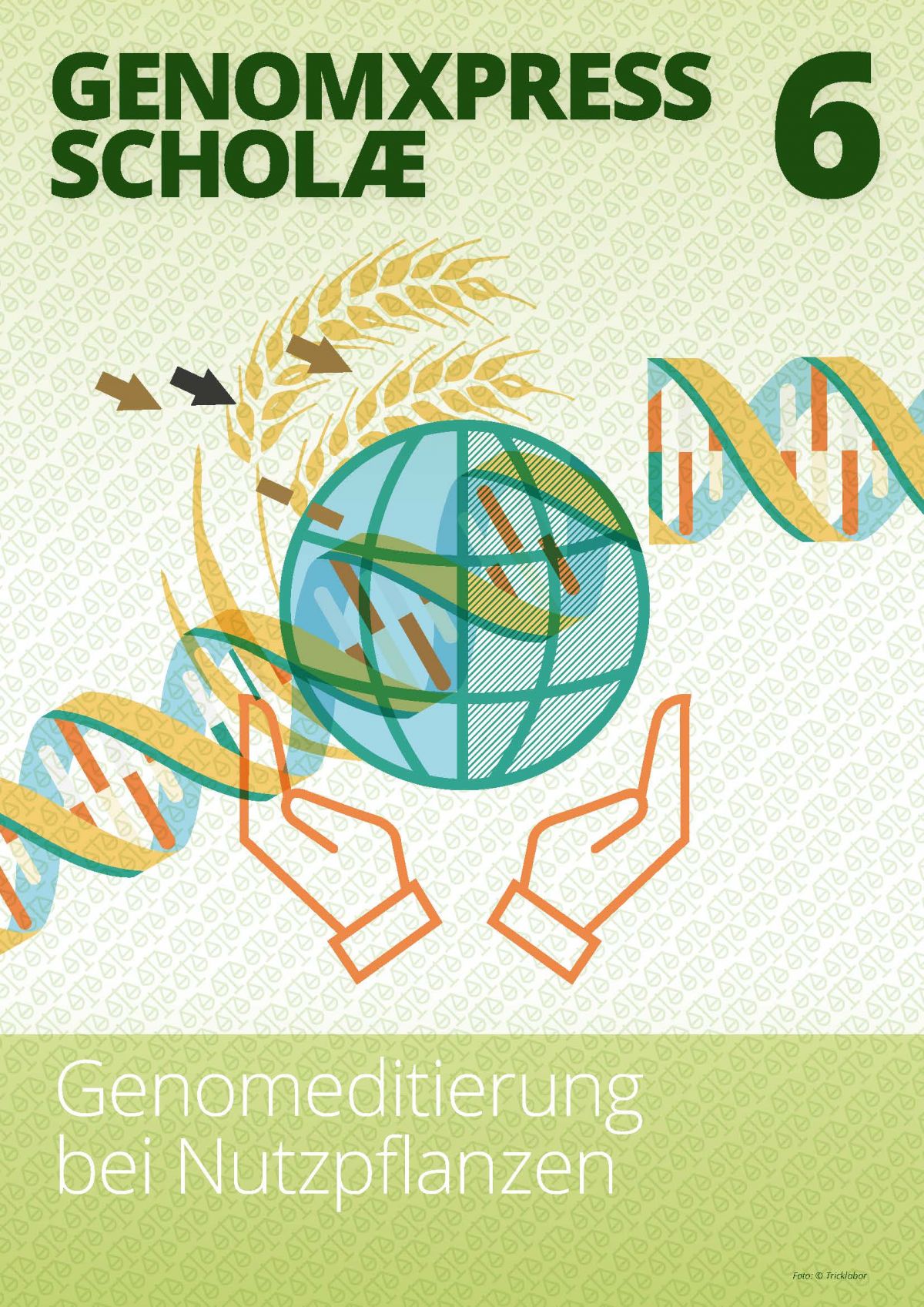  GENOMXPRESS SCHOLÆ 6 Genome Editing für Nutzpflanzen